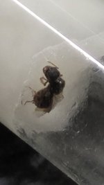 20260702_050321.jpg