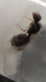 20260702_050239.jpg