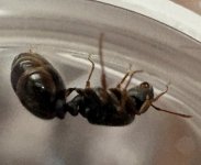 IMG_3012.jpeg