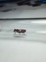 20260702_185411.jpg