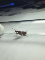 20260702_185359.jpg