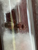 IMG_2540.jpeg