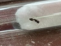 IMG_2545.jpeg
