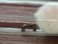 IMG_2548.jpeg