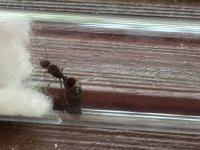 IMG_2549.jpeg