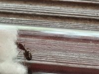 IMG_2550.jpeg