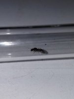 20260702_203952.jpg