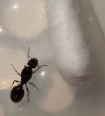 20260702_201038.jpg