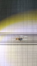 IMG-20260702-WA0005.jpg