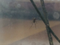 görsel_2026-07-02_231201424.png