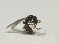 IMG_3840.jpeg