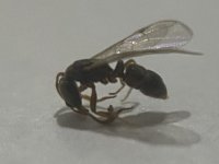 IMG_3844.jpeg