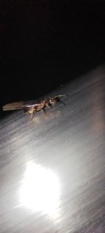 IMG_20260703_013544.jpg