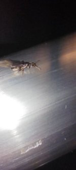IMG_20260703_013451.jpg