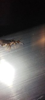 IMG_20260703_013448.jpg