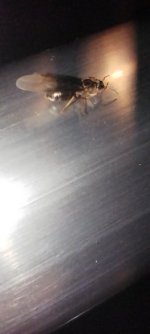 IMG_20260703_013500.jpg