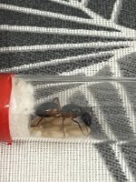 IMG_1566.jpeg