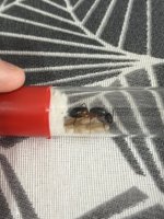 IMG_1563.jpeg