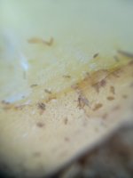 20260703_180721.jpg