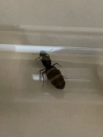 IMG_1587.jpeg
