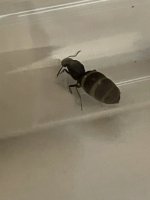 IMG_1588.jpeg