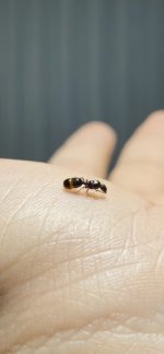 IMG_1791.jpeg