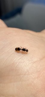 IMG_1790.jpeg
