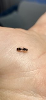 IMG_1789.jpeg