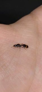 IMG_1784.jpeg