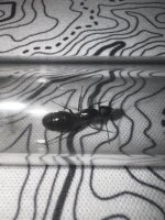 IMG_7698.jpeg