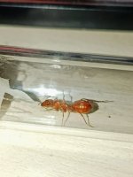 IMG_20260703_221908.jpg