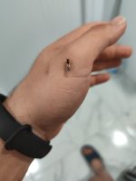 1000037215.jpg