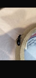 IMG_0611.jpeg