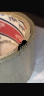 IMG_0610.jpeg