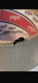 IMG_0609.jpeg