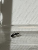 IMG_4635.jpeg