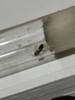 IMG_4637.jpeg