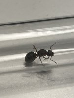 IMG_5844.jpeg