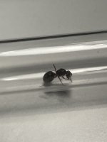 IMG_5843.jpeg