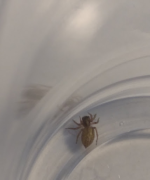 görsel_2026-07-04_183252374.png