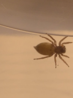 görsel_2026-07-04_183303652.png