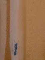 20260704_124354.jpg