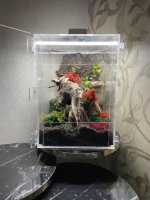 IMG_0052.jpeg