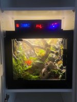 IMG_0085.jpeg