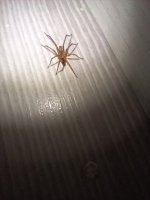 20260705_012117.jpg