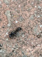 IMG_6800.jpeg