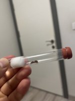 IMG_0141.jpeg
