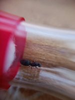 IMG_20260617_114629.jpg