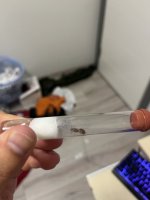 IMG_0137.jpeg