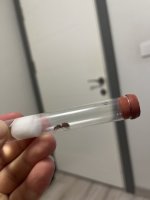 IMG_0140.jpeg